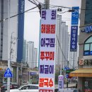 천안 백석동 맛집 초강수의 물꽁해물 점심특선 후기