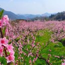 김기원 행정사 사무소 이미지