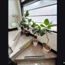 한마음노인전문요양원 | [서울 마포구 요양원 추천] 한마음노인전문요양원 서울 강서구 요양원 접근성 우수