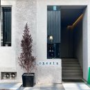 오네스타(onesta) 이미지