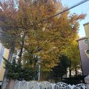 동원유치원 이미지