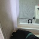 현대그린존방역 울산본사