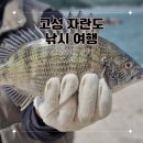 고성섬나들이 이미지