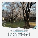 비둘기공원 화장실 | 대구 벚꽃구경 맛집 벤치에서 편하게 벚꽃구경 가능한 공원 [경상감영공원] 정보 및 후기! (3/28 방문)