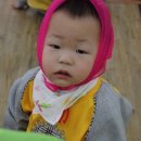 햇병아리어린이집 이미지