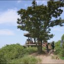 국사봉목장 이미지