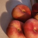 오요요 | 뉴질랜드 워홀 린생 D+151~157 / 차 뷰잉, 포켓볼, 스페셜핫팟, 스탠무어비치