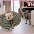 오케이치과의원 이미지