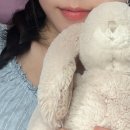 아니타 홈 이미지