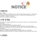꿈꾸는솜뭉치