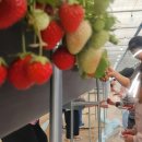 이현진농장 이미지