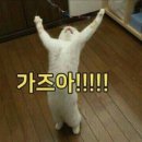 살롱드팜