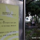 철산동지석묘 이미지