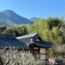 진량-5(평사리 마을회관 내) | 하동 매화 명소 최참판댁 나들이♬ 맛집 부부송식당 &amp; 장강농원 쇼핑 후기!