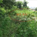 풍계리마을회관 이미지