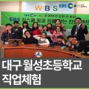 대구월성초등학교 이미지