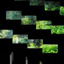 영인산자연휴양림 이미지