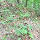 홍천농장 이미지