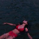 수영장펜션 이미지