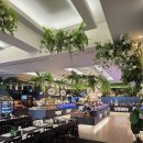 수원산뷔페 | 수원 파티움하우스 뷔페 시식 후기(내돈내산 솔직후기)