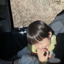 무릉도원 캠핑장 이미지