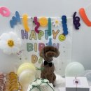 댕수무강 이미지