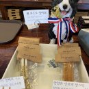 올댓멍즈 이미지