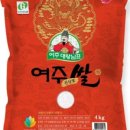 진상미로 이미지