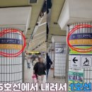 종로온누리약국 이미지