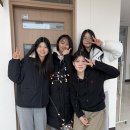 다경트리