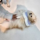 두유 개린이집 이미지