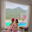 파란마음 유치원 | 김해풍선 단골가게 파란풍선에서 즐긴 특별한 생일파티