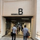 호텔 더 보타닉 세운 명동(A동) 이미지