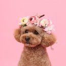 293사진관 이미지