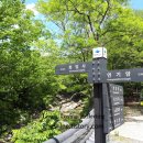 지리산 품에 안긴 천년 고찰 🌿 구례 화엄사 방문기