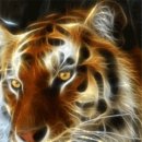 유통단지 산업용재관 31동 앞 이미지