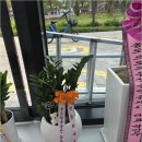 캠퍼스타운공인중개사사무소 | 송도아파트와 연세대국제캠퍼스부동산, 내게 맞는 집 찾기 완전정복! 투자까지 한 번에 해결