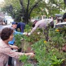 덕진동 주민센터 이미지