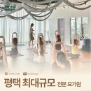 스와디요가앤플라잉