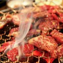 늘푸른목장 이미지