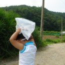 세진농장 이미지