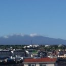 눈큰새우게스트하우스 이미지