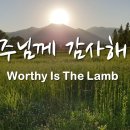 Worthy Is The Lamb. 주님께 감사해 (violin) 이미지