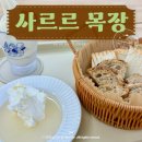 바구니아이스크림 | 산정호수 근처 포천 사르르목장 카이막, 우유 아이스크림 맛집 내돈내산 후기 +주차