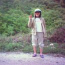 보가성