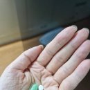 보라매대학약국 | 이명 약, 이명 영양제..요즘 병원 다니는중..기넥신후기