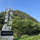 꽃피는 무릉도원 이미지