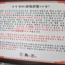 면짱 이미지