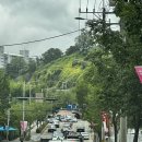 부산 | 코스트코 다이어트 추천상품 + 회원권 가격, 주말 부산 코스트코 후기