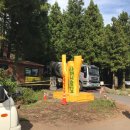 서윤의숲길 이미지